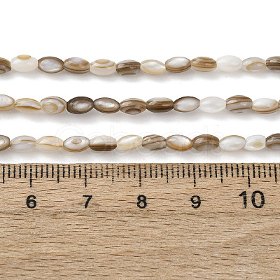 Natural Freshwater Shell Beads Strands SHEL-K006-78B-1