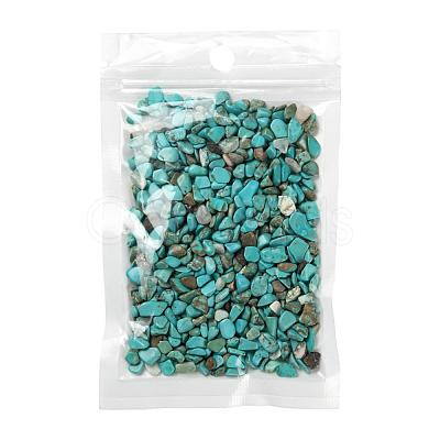 Synthetic Turquoise Chip Beads G-FS0001-13-1