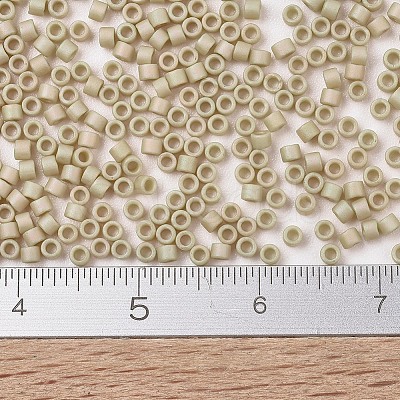 MIYUKI Delica Beads X-SEED-J020-DB2301-1
