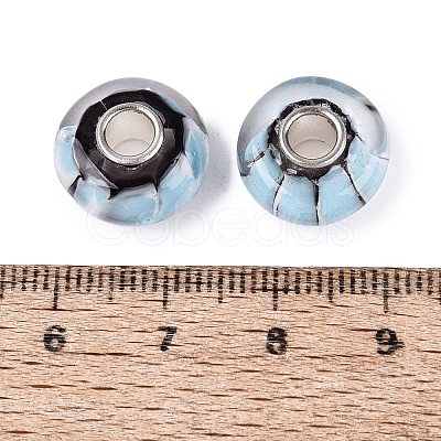 Handmade Lampwork & Brass Core European Beads LS-LAMP-N044-01S-02-1