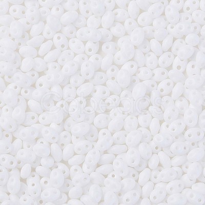Opaque Luster Czech Glass Seed Beads SEED-N004-005-D02-1