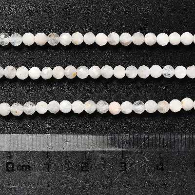 Natural Rainbow Moonstone Beads Strands G-RM2025-31-3mm-1