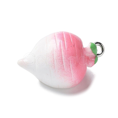 Resin Iron Pendants RESI-D280-13-1