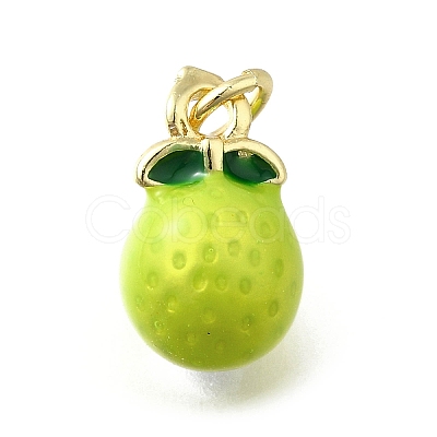 Brass with Enamel Charms KK-Q066-01K-G-1