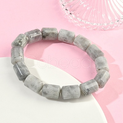 Column Natural Labradorite Beads Stretch Bracelets for Women Men BJEW-A148-01A-24-1