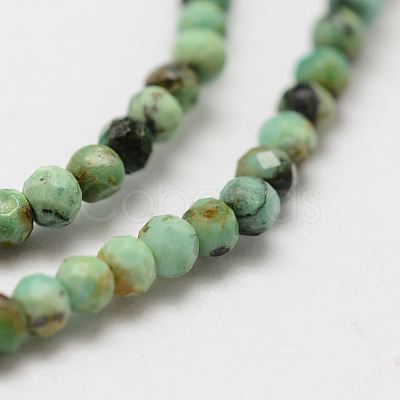 Natural Turquoise Bead Strands G-P270-2mm-18-1