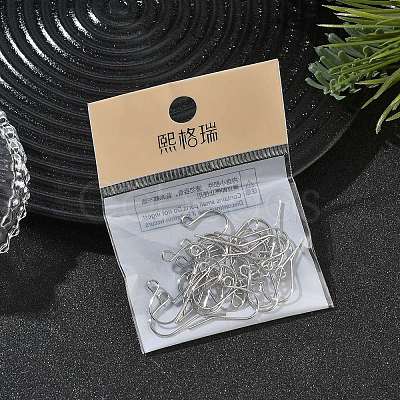 SHEGRACE Brass French Hooks with Loop XGR0002P-02P-1