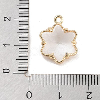 Brass Inlay Clear Glass Pendants LS-KK-Z061-05G-1