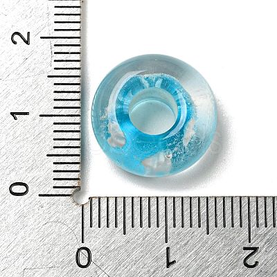 Glass European Beads GLAA-XCP0001-40A-1
