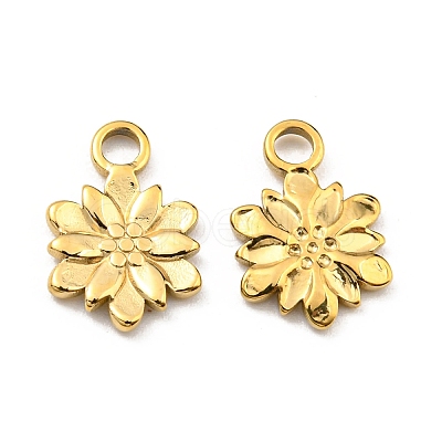 304 Stainless Steel Charm STAS-R124-03G-1