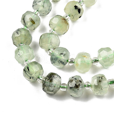 Natural Prehnite Beads Strands G-N327-08H-1