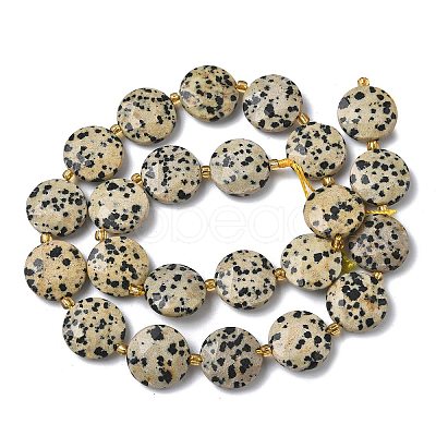 Natural Dalmatian Jasper Beads Strands G-A292-A06-01-1