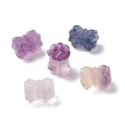 Natural Fluorite Beads G-P483-10-1