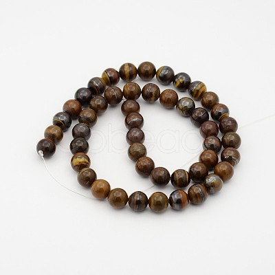 Natural Tiger Iron Bead Strands G-P070-13-4mm-1