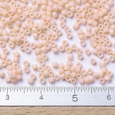 MIYUKI Delica Beads X-SEED-J020-DB0354-1