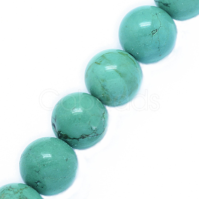 Natural Howlite Beads Strands TURQ-P027-32-8mm-1