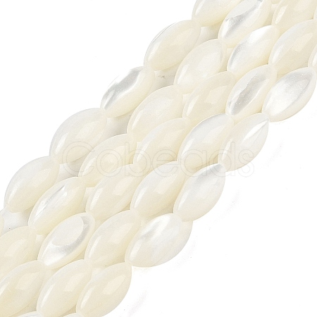 Natural Trochus Shell Beads Strands BSHE-G036-06B-1