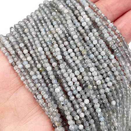 Natural Labradorite Beads Strands G-I341-11B-1