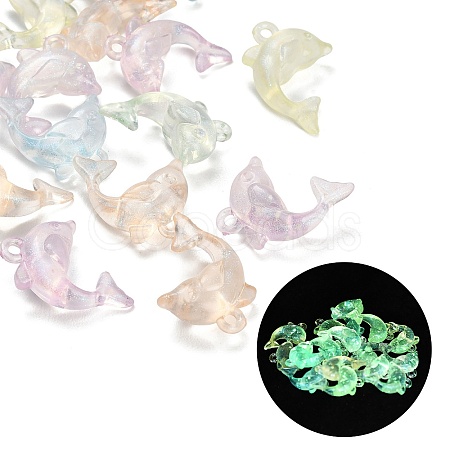 Luminous Translucent Acrylic Pendants AC-CBA5040-07-1