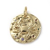 Brass Micro Pave Cubic Zirconia Pendants ZIRC-G157-03C-01G-1