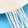 Natural Cultured Freshwater Pearl Beads Strands PEAR-D003-01D-03-1