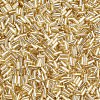 Plated Glass Bugle Beads SEED-S046-01A-22-2