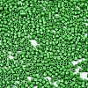 FGB 11/0 Grade A Glass Seed Beads SEED-S030-1004-2