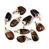 Natural Tiger Eye Pendants G-N360-05G-07-1