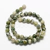 Natural Tree Agate Beads Strands G-K194-10mm-02-3