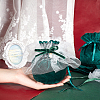 12Pcs Velvet Jewelry Drawstring Gift Bags TP-NB0001-30B-3