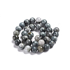 Natural Eagle Eye Beads Strands G-I281-02-4mm-5