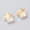 Electroplate Glass Beads EGLA-E059-G09-2