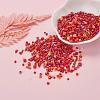 Glass Seed Beads X-SEED-S059-007-6