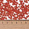 Transparent Colours Glass Seed Beads SEED-P006-02A-06-4