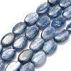 Natural Kyanite Beads Strands G-H335-D01-8x12mm-2