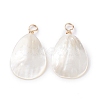 Natural Trochid Shell/Trochus Shell Pendants PALLOY-JF01393-1