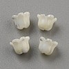 Natural Sea Shell Carved Beads LS-SHEL-WH0001-021A-1