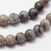 Natural Polychrome Jasper/Picasso Stone/Picasso Jasper Beads Strands G-N0191-01-2mm-3