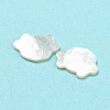 Natural Sea Shell Cabochons SHEL-D079-15-3
