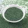 MIYUKI Round Rocailles Beads SEED-X0056-RR0288-2