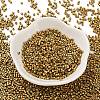 Baking Paint Glass Seed Beads X-SEED-S042-15B-31-2
