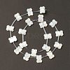 Natural White Shell Mother of Pearl Shell Beads BSHE-B005-06-1