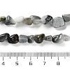 Natural Eagle Eye Stone Beads Strands G-P497-01C-52-5