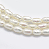 Natural Cultured Freshwater Pearl Beads Strands X1-PEAR-F007-83-3
