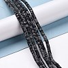 Natural Snowflake Obsidian Beads Strands G-P468-05-2