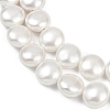 Electroplated Shell Pearl Beads Strands BSHE-G027-13B-4
