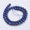 Natural Lapis Lazuli(Filled Color Glue) Beads Strands G-K269-01-8mm-2