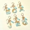 Transparent Epoxy Resin Pendant Keychains KEYC-FS00022-06-11