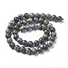 Natural African Turquoise(Jasper) Beads Strands G-D809-02-8mm-1