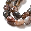 Natural Botswana Agate Beads Strands G-NH0015-C03-01-4